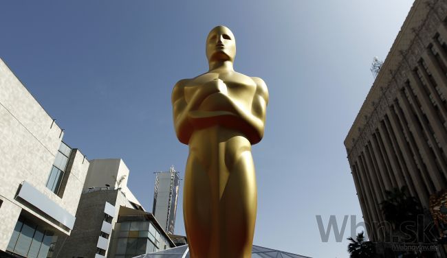 O nomináciu na Oscara bojuje 15 dokumentárnych filmov