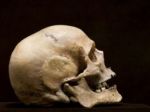 V objekte polikliniky v Prešove našli zakopané ľudské kosti
