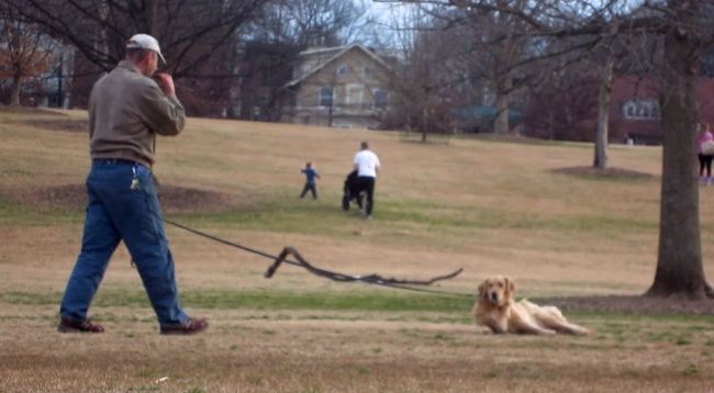 Video: Ako dostať psa z parku?
