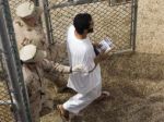 Guantánamo opustili ďalší väzni, zamierili do Afganistanu
