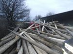 Opozícia podala trestné oznámenie pre machinácie s drevom