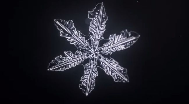 Video: Ako vzniká snehová vločka