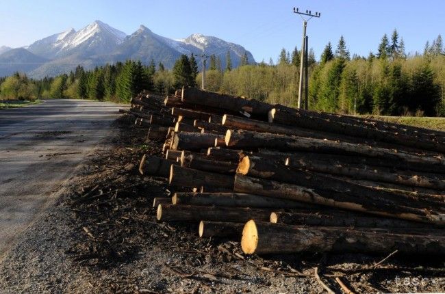 V Košickom kraji pribúdajú krádeže dreva z lesov
