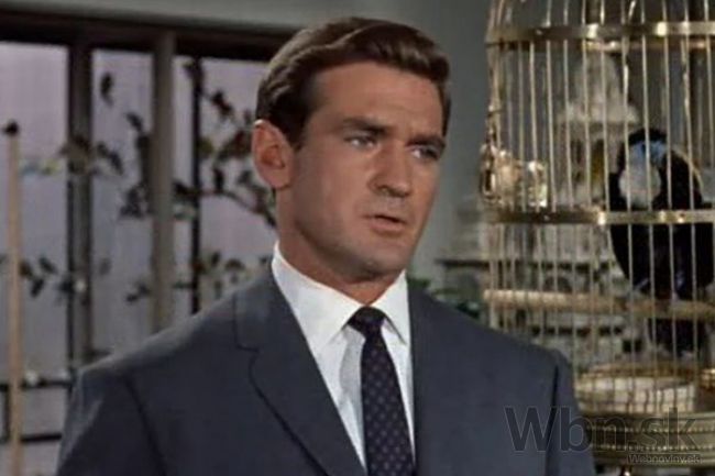 Zomrel herec Rod Taylor, hral v Hitchcockovom horore Vtáci