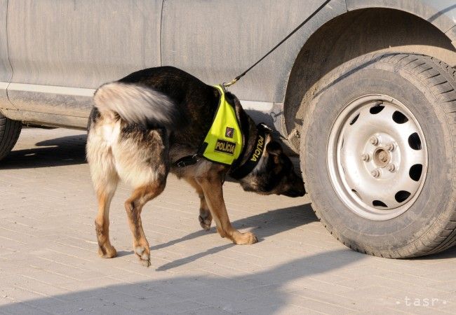 Mestskej polícii v R.Sobote pomáhajú s odchytenými psami dobrovoľníčky