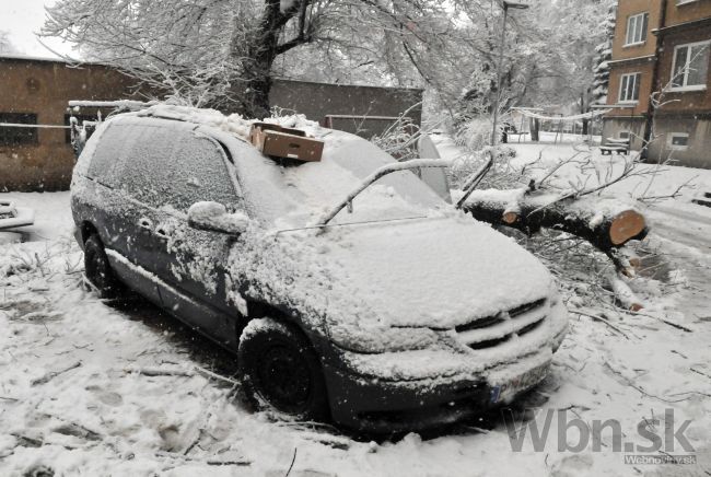 Na cestách sa váľali stromy, hasiči krotili snehovú skazu