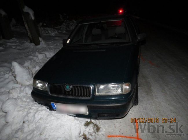 Policajti naháňali opitého vodiča, skončil v zasneženom poli