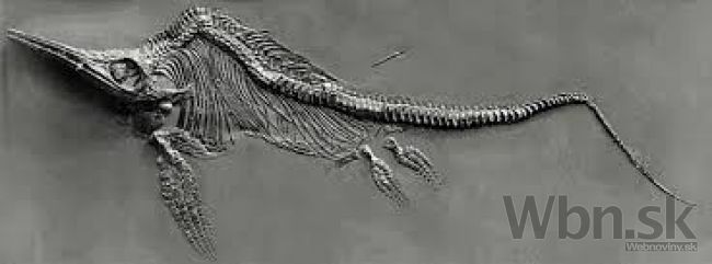 Britský vedec určil fosíliu dosiaľ nepopísaného druhu