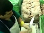 Video: Porcovanie kurčiat level expert