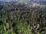 Google Maps a Street View umožnia prechádzku Amazonským pralesom