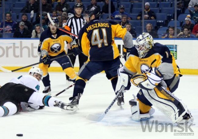 Meszároš chce po skončení sezóny v NHL prísť pomôcť na MS