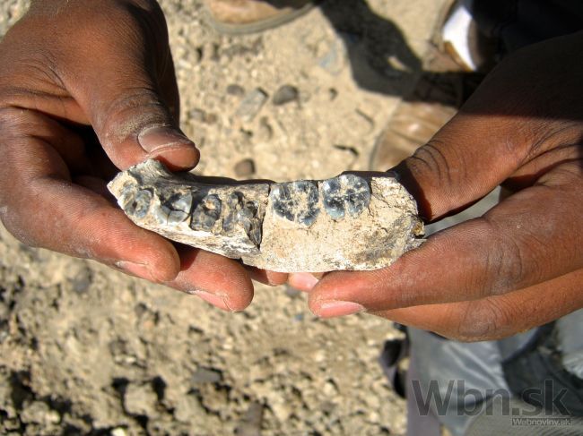 Študent v Etiópii objavil najstaršie pozostatky človeka