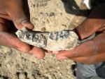 Študent v Etiópii objavil najstaršie pozostatky človeka