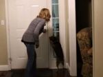 Video: Prekvapujúce zvítanie psíka s majiteľom po dvoch rokoch