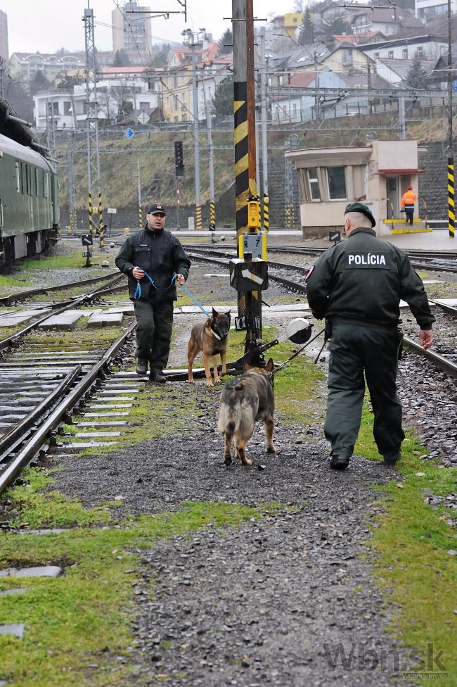 Policajti zasahovali na železniciach, hľadali drogy