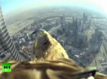 Video: Na krídlach orla v Dubaji