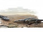 Vedci objavili fosílne zvyšky nového živočíšneho druhu
