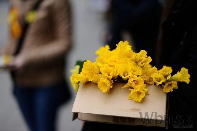 Slováci bojovali proti rakovine, ulice ovládli žlté narcisy