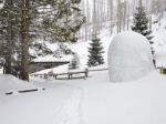 Pri Rainerovej chate vyrástla snehová kraslica