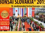 Nitra sa na chvíľu premení na mesto bonsajov a čajov