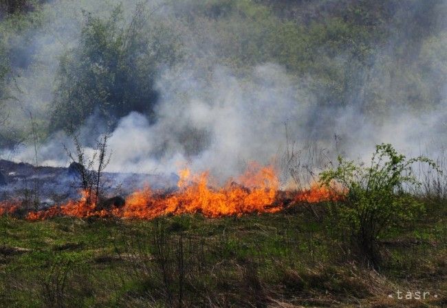 Vypaľujete trávu? Hrozí vám nemalá pokuta