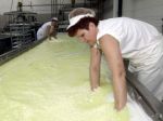 Za posledné roky skončilo s výrobou mlieka na Slovensku viac ako 200 producentov