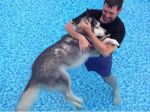 Video: Vodná liečba pre psíka