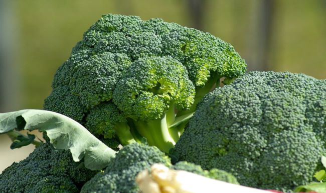 Päť dôvodov, prečo jesť brokolicu
