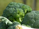 Päť dôvodov, prečo jesť brokolicu