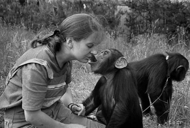 Fotogaléria: Takto vznikala bratislavská zoo