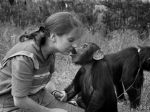 Fotogaléria: Takto vznikala bratislavská zoo