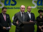 SaS vidí vo Veľkom upratovaní Slovenska porušenie zákona