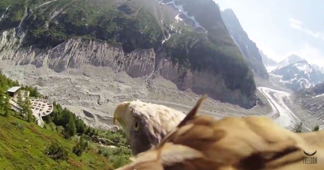 Video: Svet z pohľadu orla