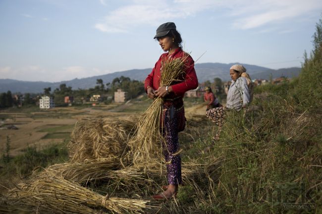 Nepál sa zviecha k životu, vládny úradníci pracujú v stanoch