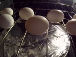 Video: 14 úžasných trikov s vajíčkom