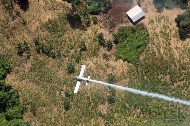 V Kolumbii sa zrútilo malé lietadlo, prevážalo tonu kokaínu