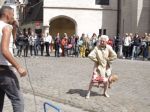 Video: Babka predvádza tanec na ulici