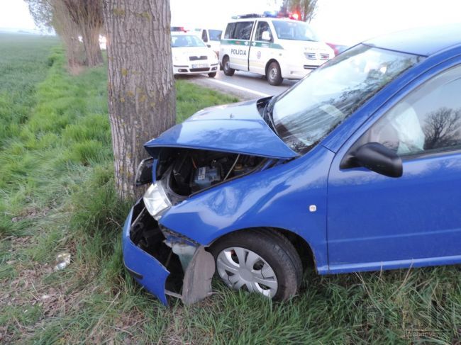 Vodič narazil pri Bratislave do stromu, zraneniam podľahol