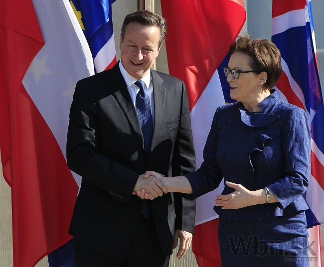 Cameron v Poľsku neuspel, vytkli mu diskriminačné opatrenia