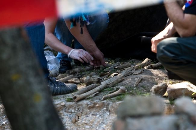 Pri výmene električkovej trate našli 80-ročné ľudské kosti