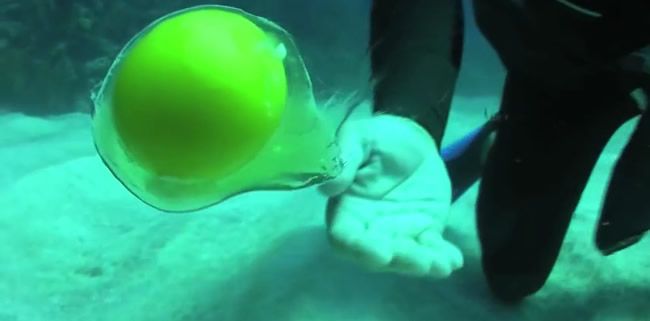 Video: Čo sa deje s vajíčkom 20 metrov pod hladinou?