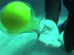 Video: Čo sa deje s vajíčkom 20 metrov pod hladinou?