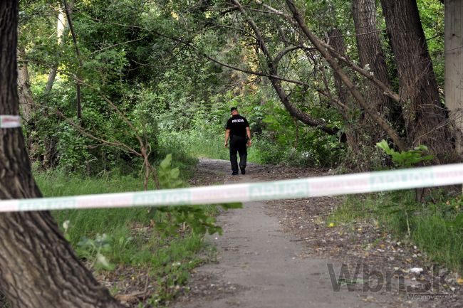 Policajti riešia prípad nájdenej časti tela ako vraždu