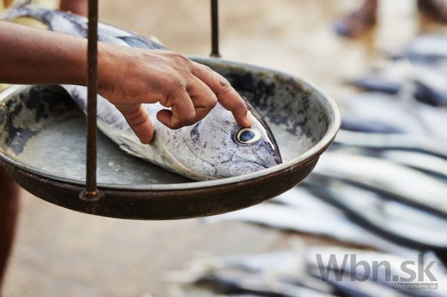 Thajčania varujú: Nejedzte surové ryby, dostanete rakovinu