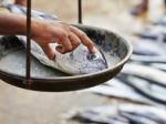 Thajčania varujú: Nejedzte surové ryby, dostanete rakovinu