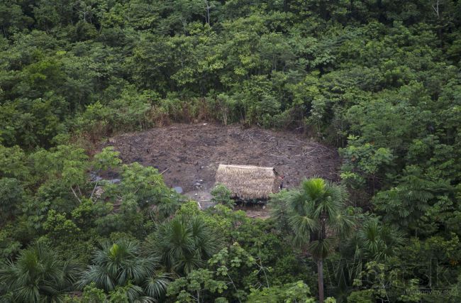 Matka a dieťa prežili haváriu lietadla a päť dní v džungli