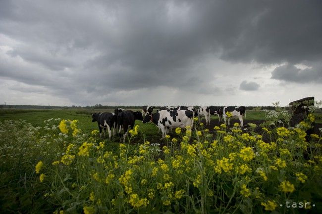 Východné a stredné Slovensko môže v pondelok očakávať prehánky