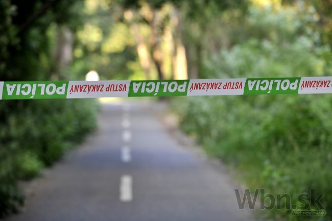 Streľba v Bratislave: Policajti naháňali po uliciach vodiča