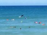 Austrália zatvára pláže, žralok napadol ďalšieho surfistu