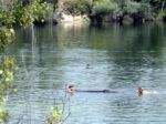 V jazere, kde sa utopili dievčatá, platí zákaz kúpania